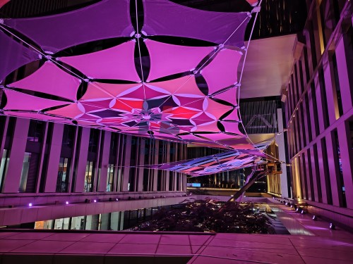 歲末收官，以膜為花 | 我們用 86 片膜材，在城市上空 “種” 出了兩朵會發光的索膜之花